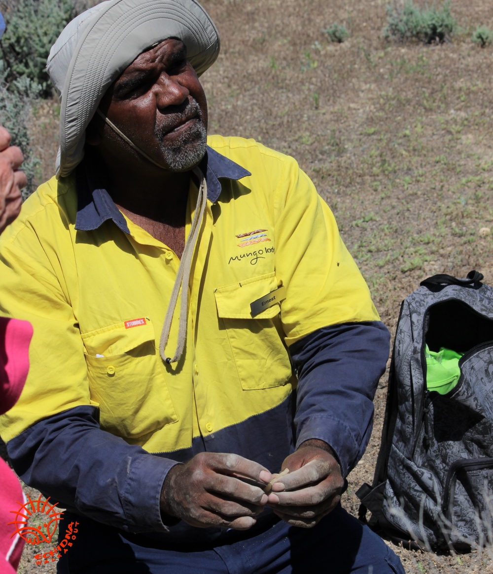 Mungo Aboriginal food plants