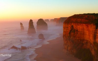 An epic show on the Great Ocean Road