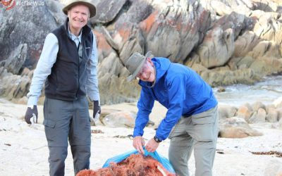 Do Something For Wildlife While Travelling