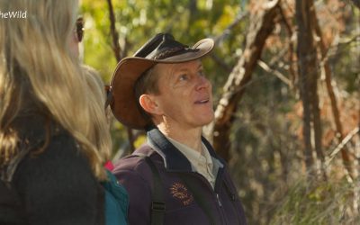 Maximum Wildlife: our top Wildlife Guides