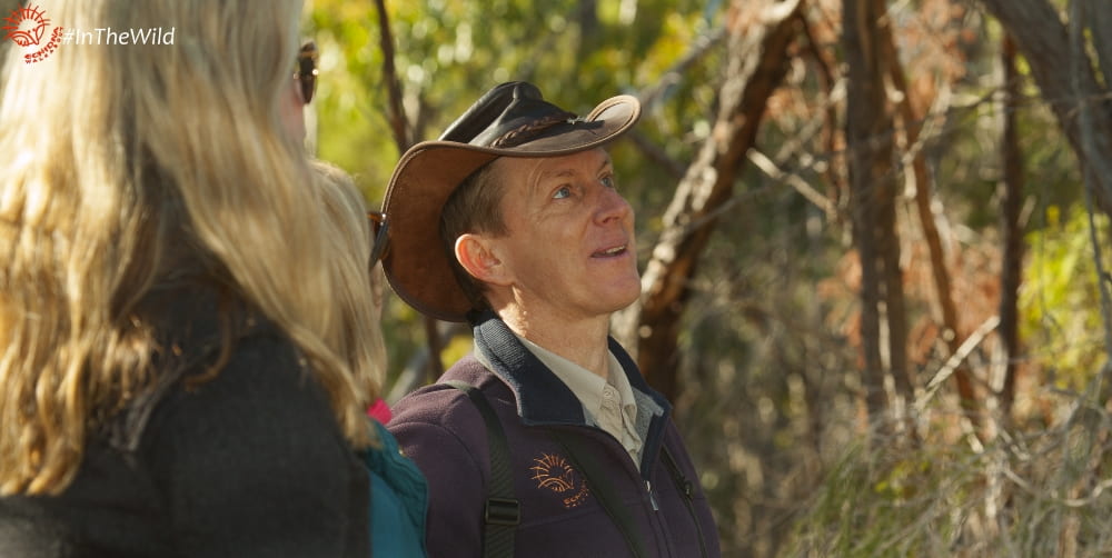 top wildlife tour guides australia