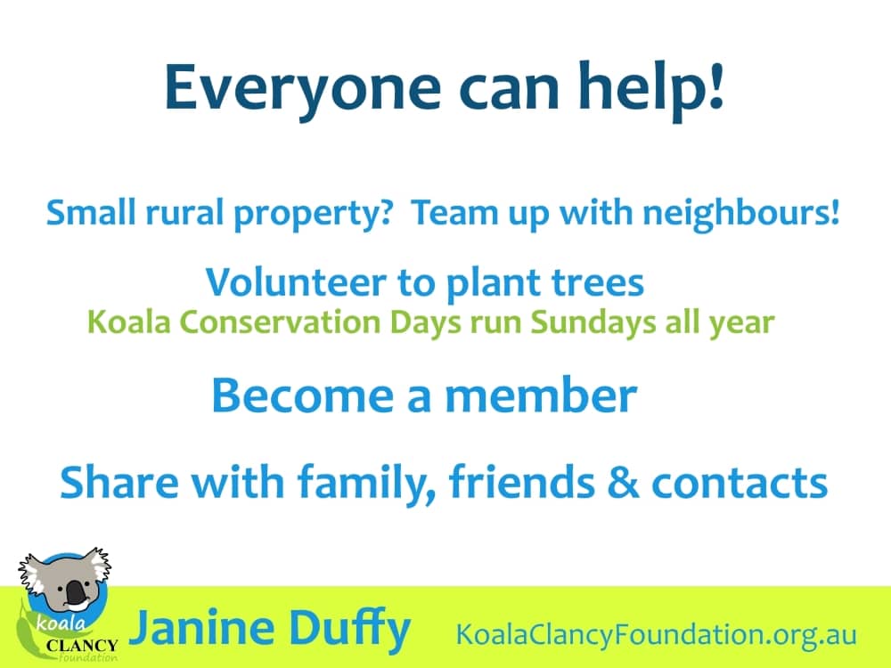 Koala Clancy Foundation tree planting