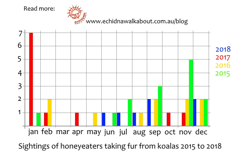 Graph diagram chart of honeyeaters collecting fur from koalas You Yangs Victoria 