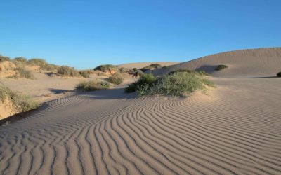 Sand is a travel destination