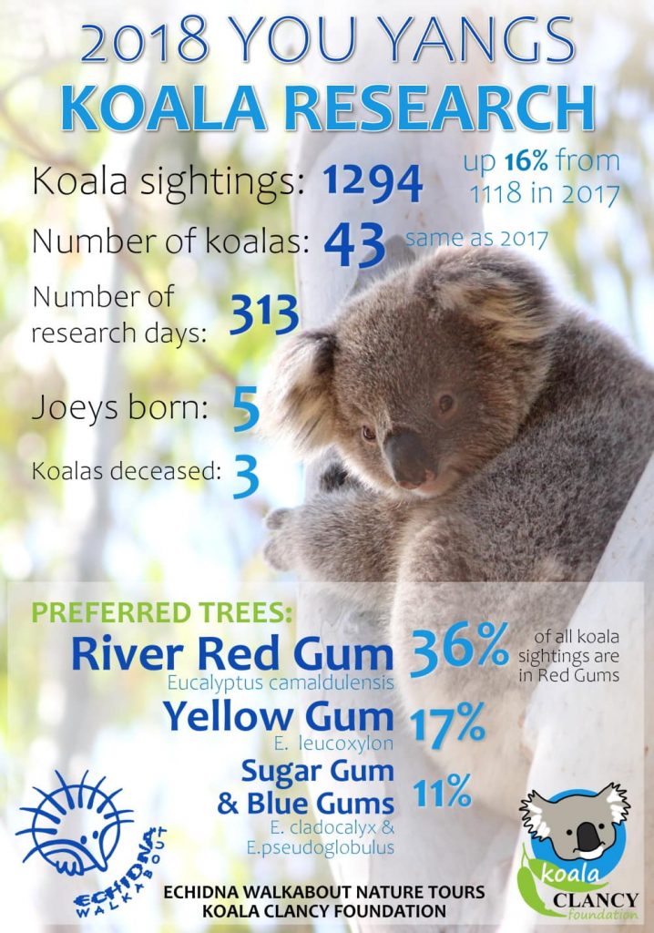 2018 You Yangs koala research