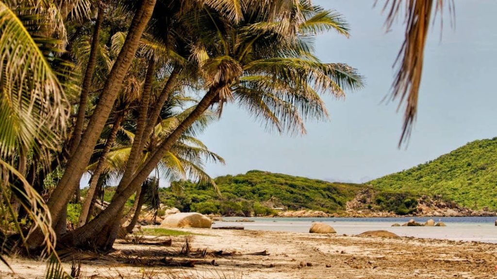 Chilli Beach Iron Range Cape York Birding Safari