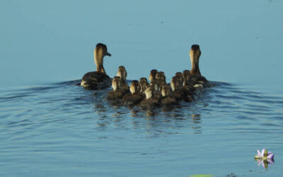 Why Tourism Needs Radical Collaboration