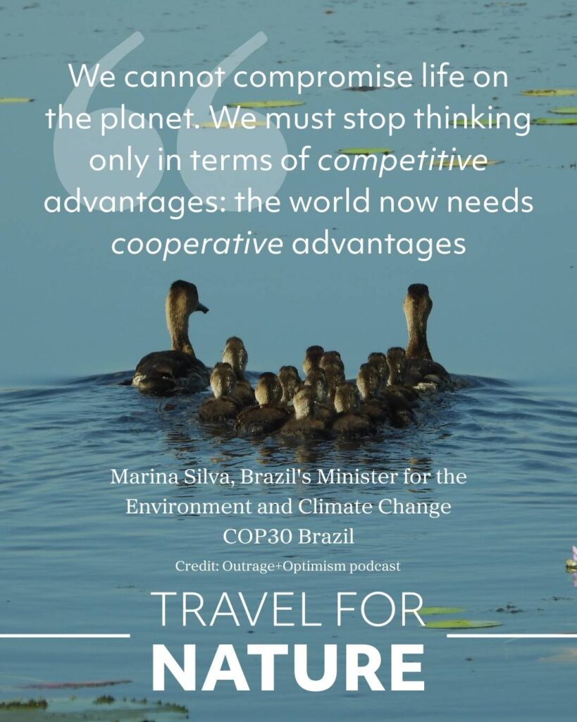 Radical collaboration takes advantage of cooperative advantages